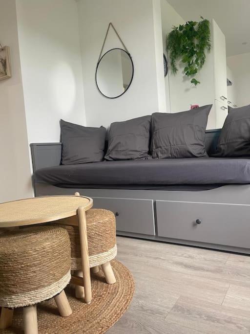 F4 Elegant - Cosy Strasbourg